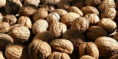 /products/nueces-autoctonas-en-saco-de-10-kilos/